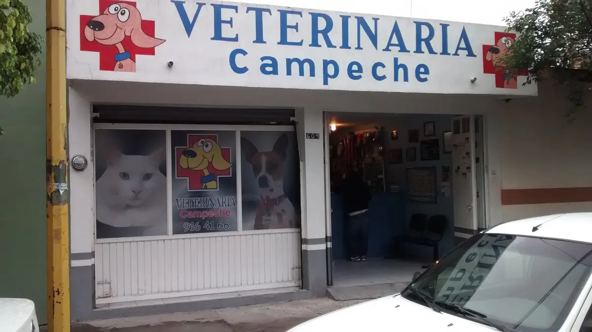 Veterinaria Campeche