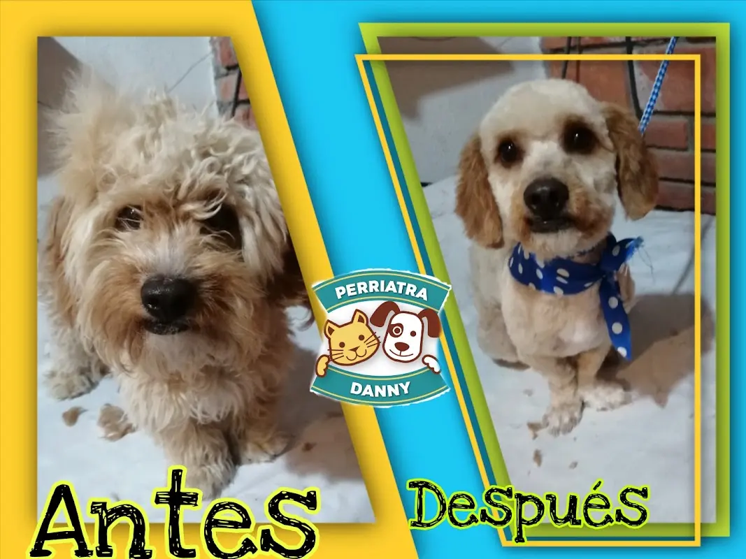 Veterinaria Perriatra Danny