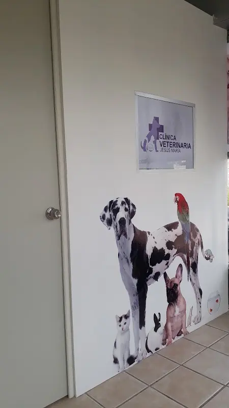 Clínica Veterinaria Jesús María