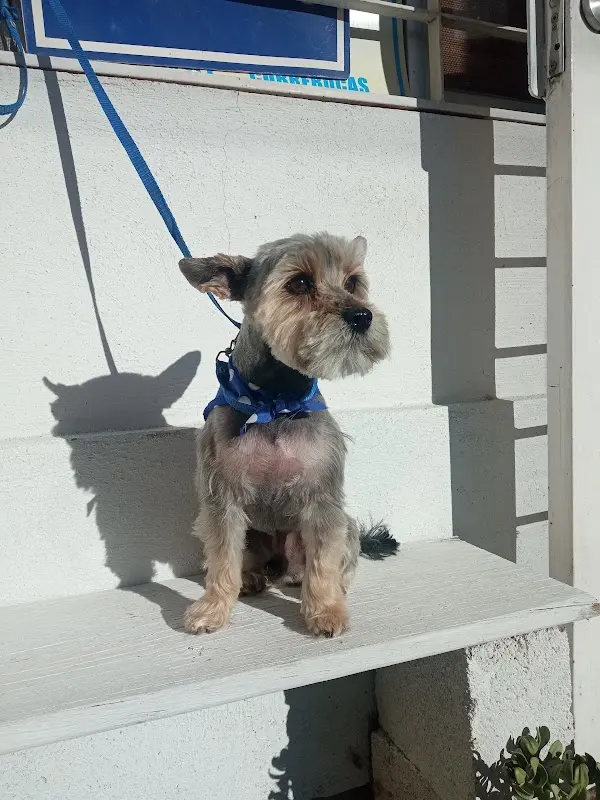 Clínica Veterinaria La Santé