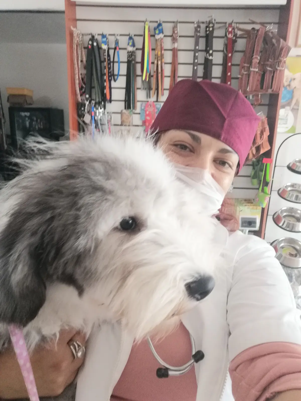 Veterinaria Dogtora Petdiatra — foto 3 de 3