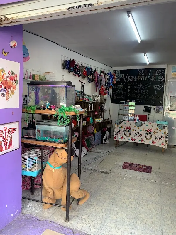 CLINICA Y ESTÉTICA VETERINARIA "FOX TERRIER" SP