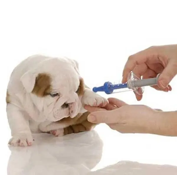 Cabo Pet Hospital