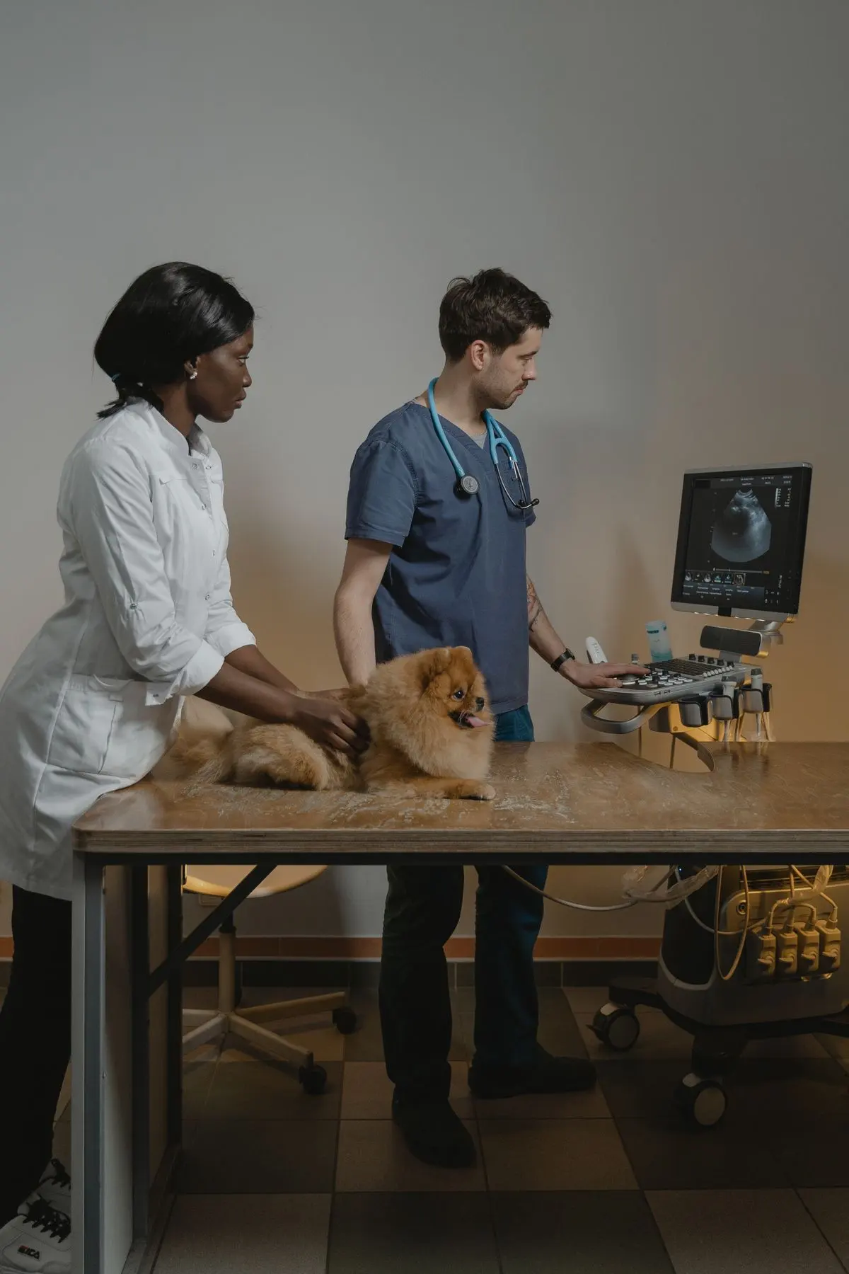 Clinica Veterinaria Erimar