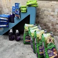 Sociedad Humanitaria de Los Cabos — foto 2 de 3