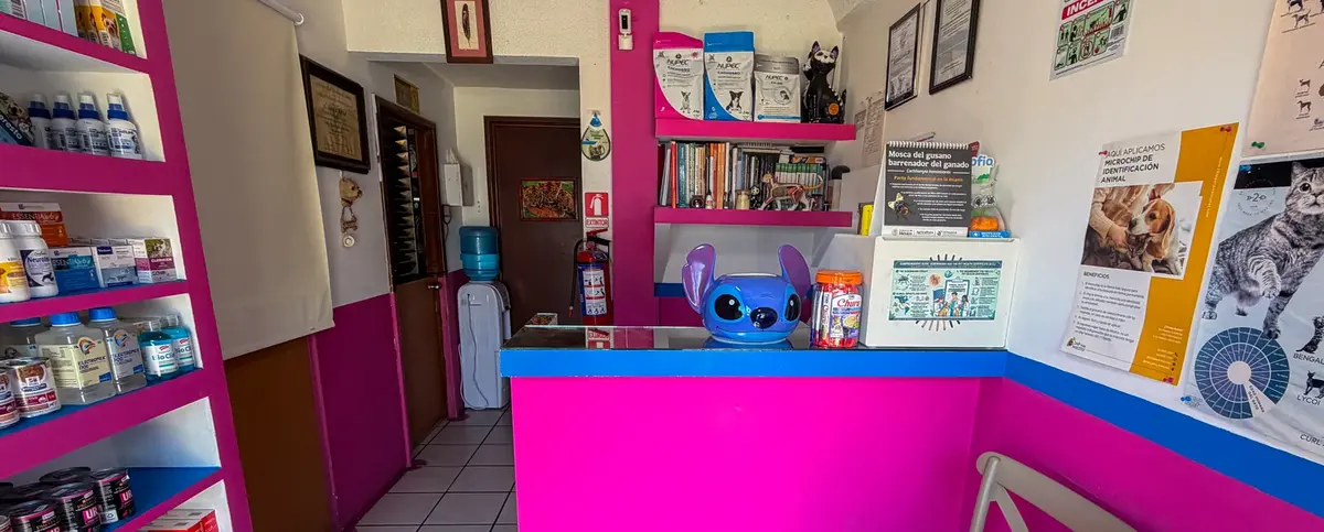VETERINARIA Angel's