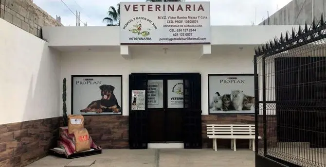 VETERINARIA PERROS Y GATOS DEL SUR — foto 3 de 4