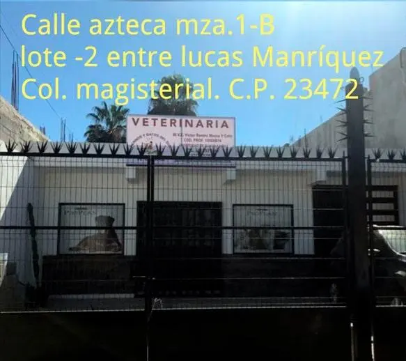 VETERINARIA PERROS Y GATOS DEL SUR — foto 4 de 4