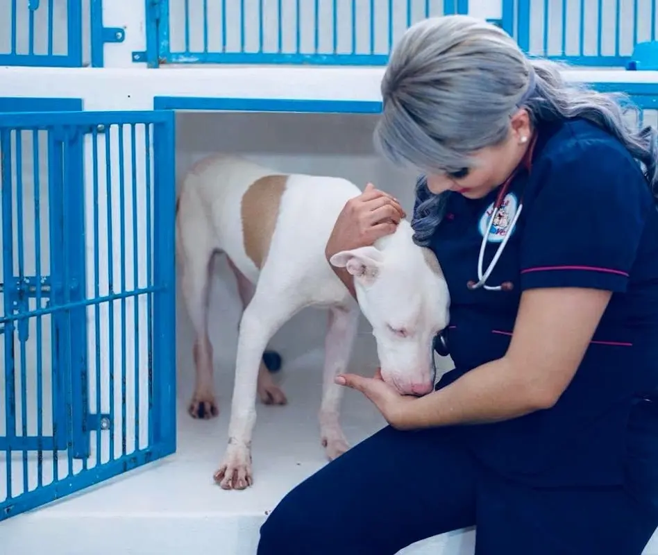 CLINICA VETERINARIA LUNAVET