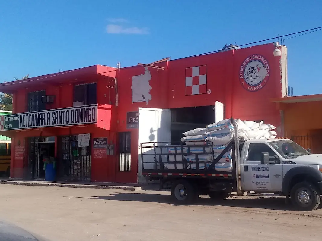 Veterinaria santo domingo