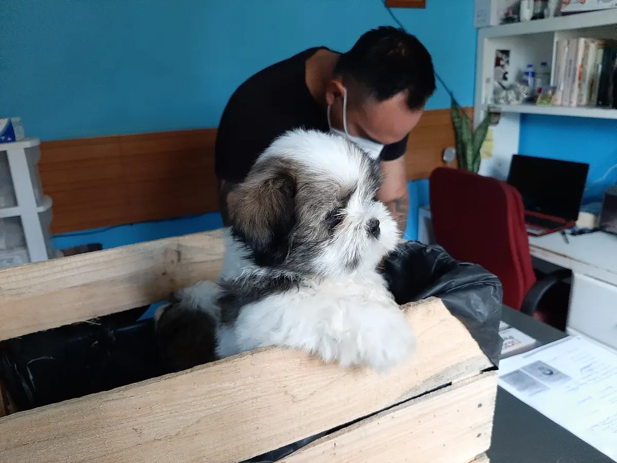 Animal Clinic.