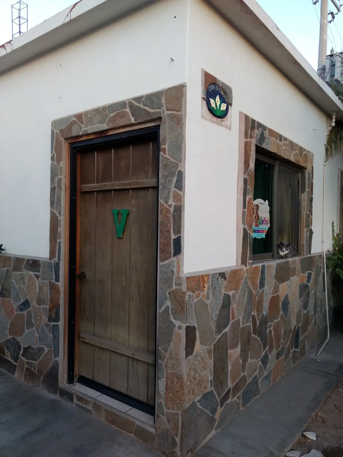 Animal Clinic. — foto 3 de 3