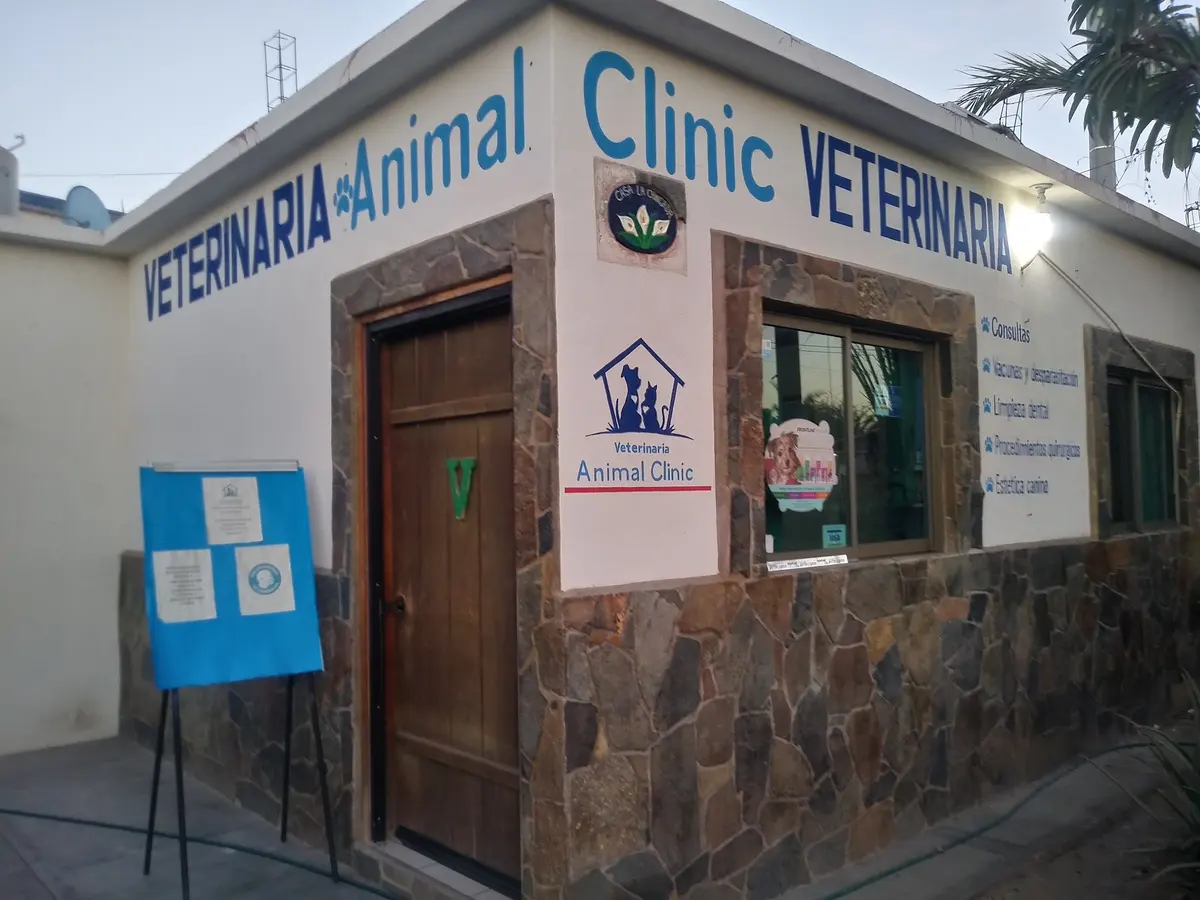 Animal Clinic. — foto 2 de 3