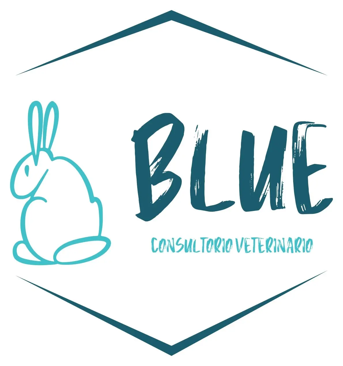 Blue Consultorio Veterinario (Blue Vet)