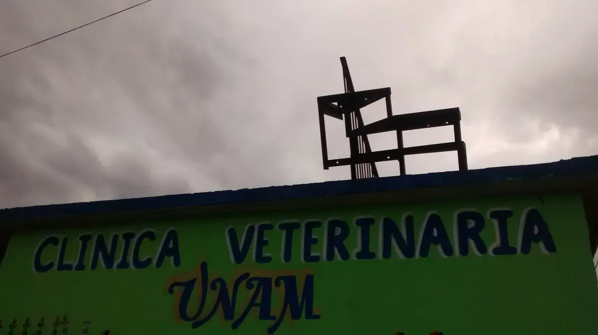 CLINICA INTEGRAL VETERINARIA UNAM — foto 3 de 3