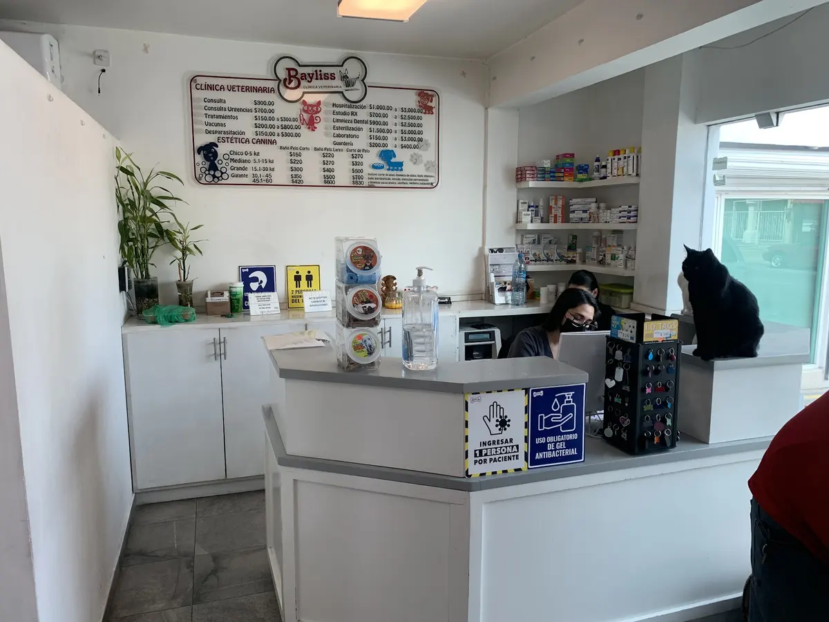Clínica Veterinaria en La Paz, B.C.S | Bayliss