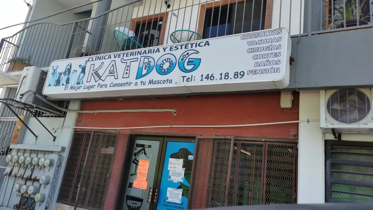 Clinica Veterinaria y Estetica KATDOG Raymundo