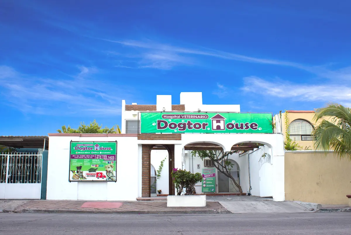 Hospital Veterinario Dogtor House