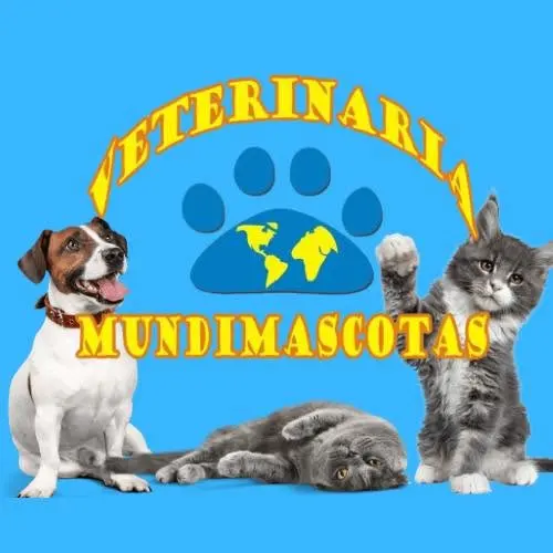 Veterinaria Mundimascotas