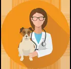 Veterinaria PuntoVet — foto 4 de 4