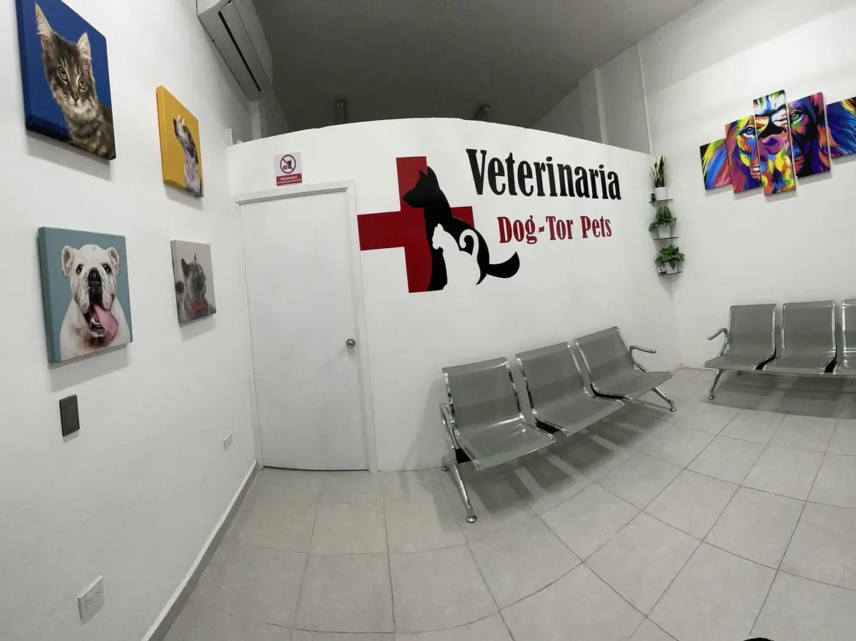 Dogtor Pets Clinica Veterinaria y Estetica Canina