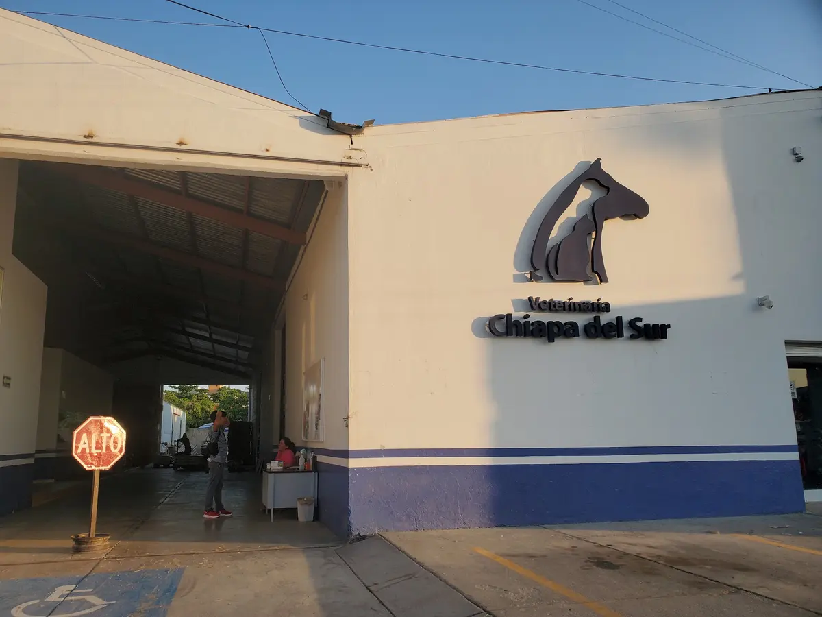 Veterinaria Chiapa del Sur — foto 3 de 3