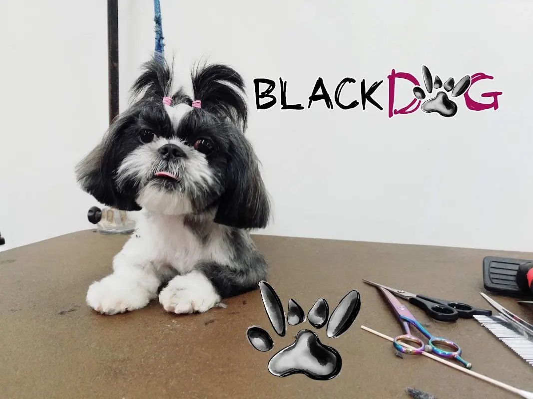 Clínica de Mascotas