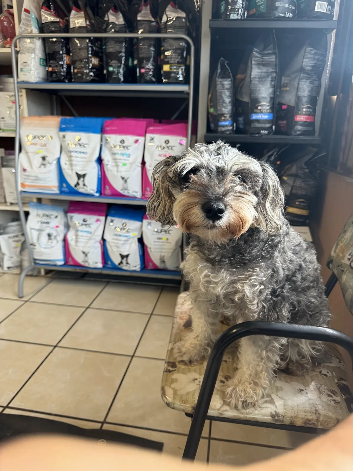 Clínica Veterinaria El Granjero