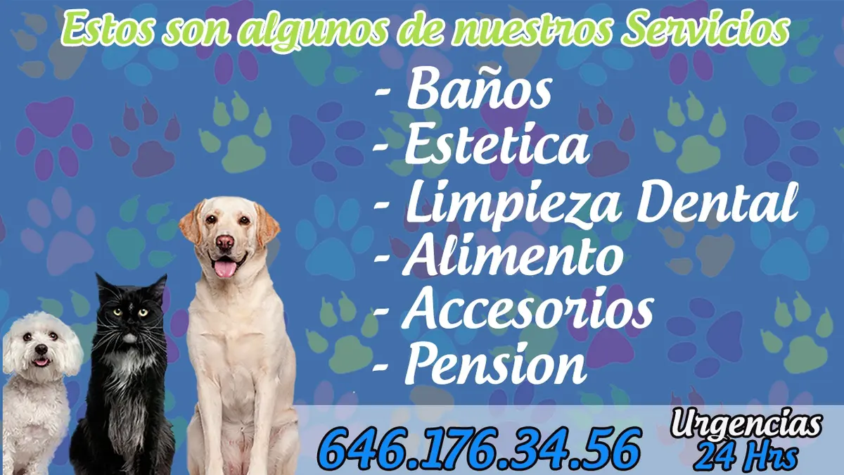 Clínica Veterinaria Masvet Ensenada — foto 2 de 3