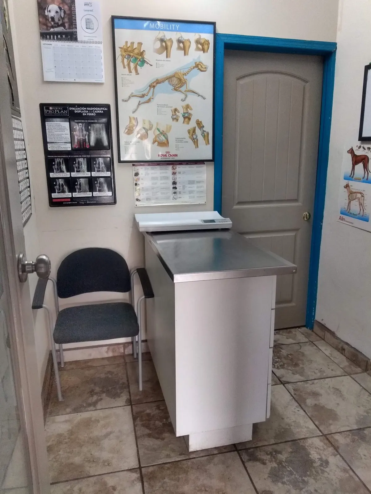 Clínica Veterinaria Masvet Ensenada