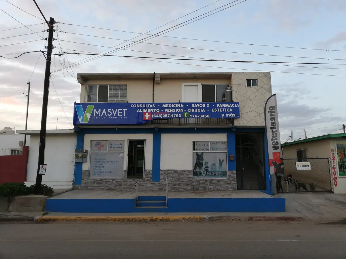Clínica Veterinaria Masvet Ensenada — foto 3 de 3