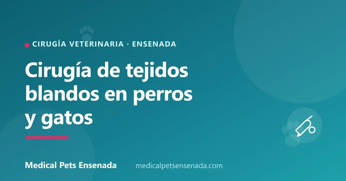 Medical Pets Ensenada — foto 3 de 3