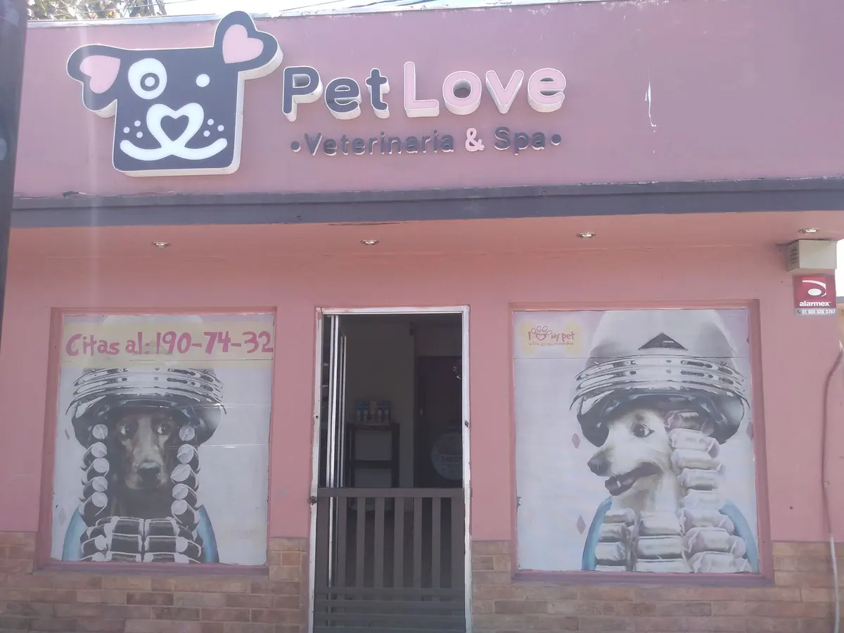 Pet love