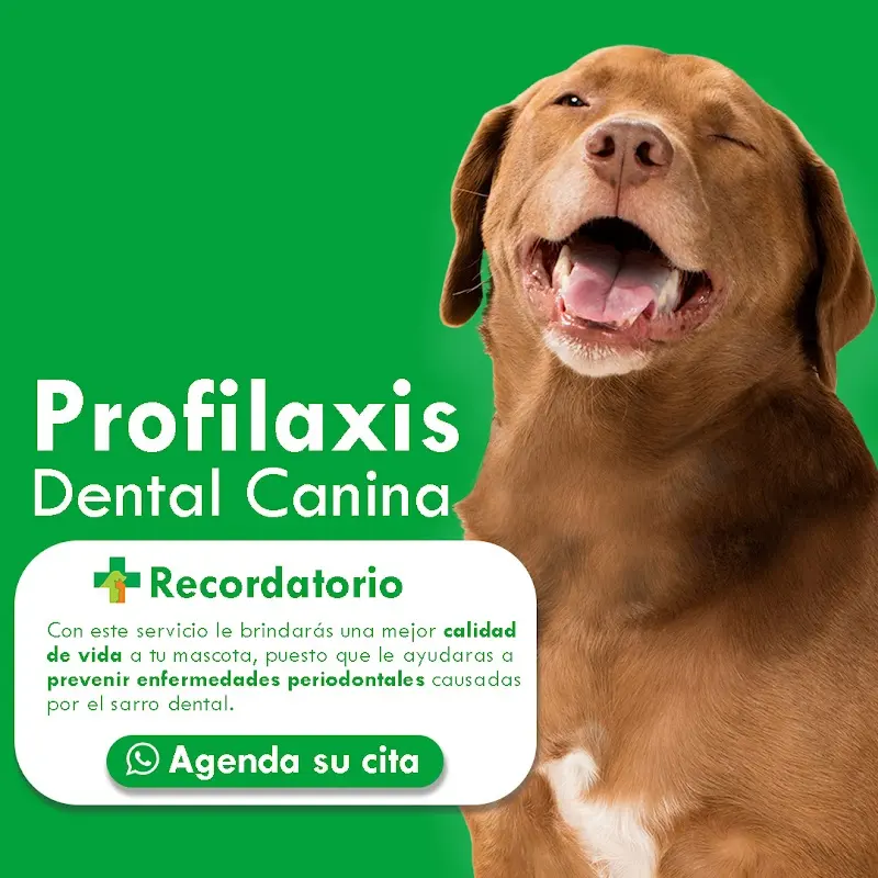 Hospital y Farmacia Veterinaria Bahía — foto 5 de 5