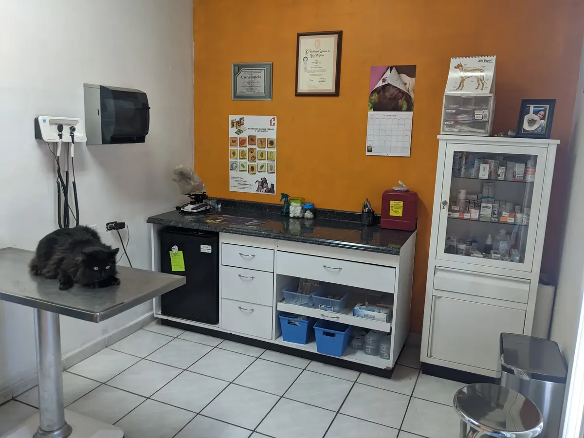 Veterinaria Cesavet — foto 2 de 3