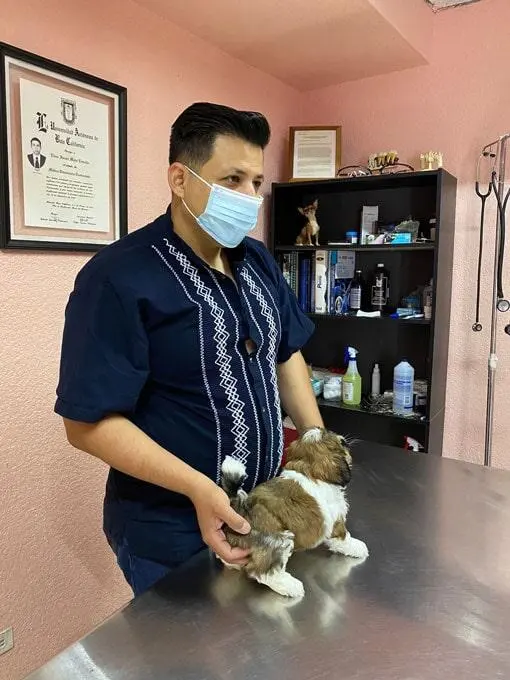 Clínica veterinaria Cuidado Animal