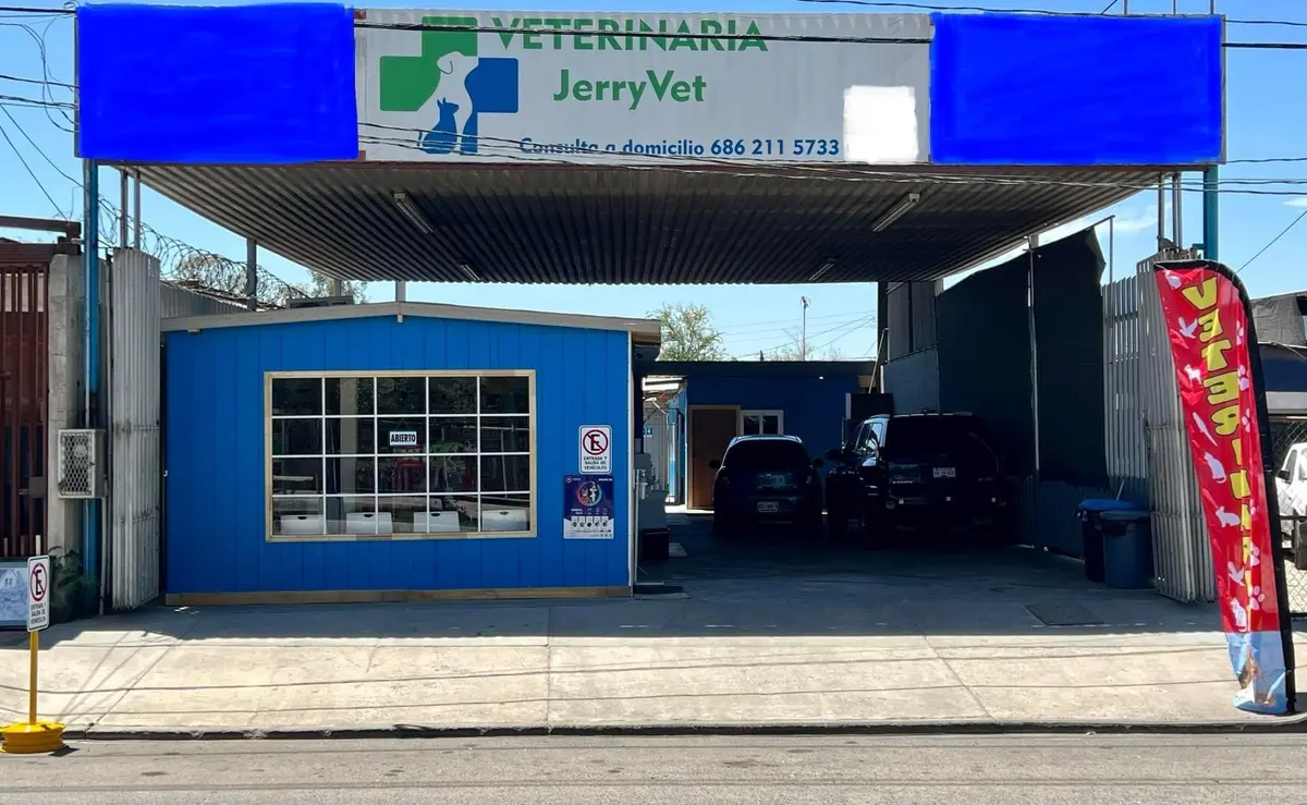 Clínica Veterinaria “JerryVet” — foto 2 de 3
