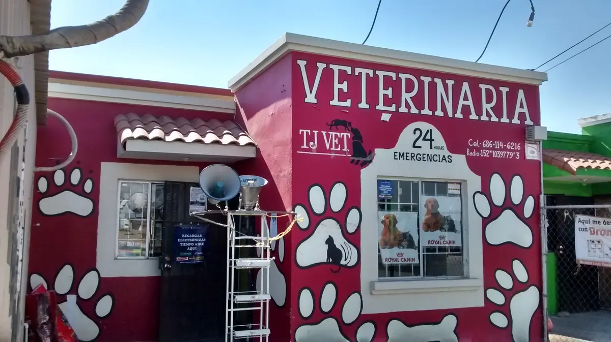 Clínica Veterinaria Tjvet Portales 3