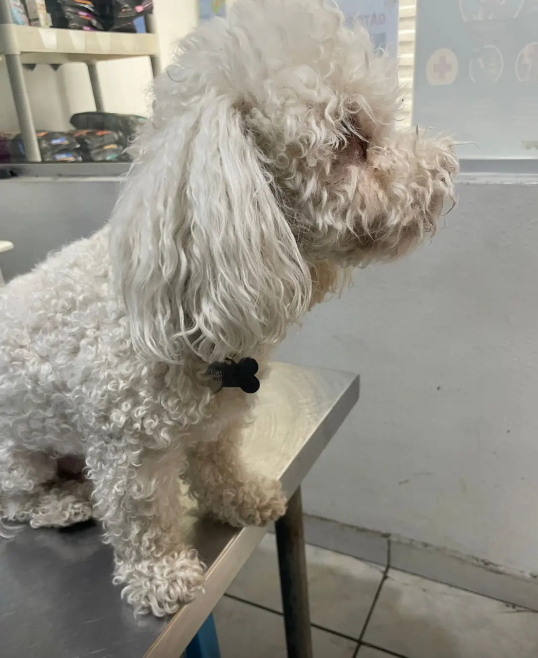 MediCan