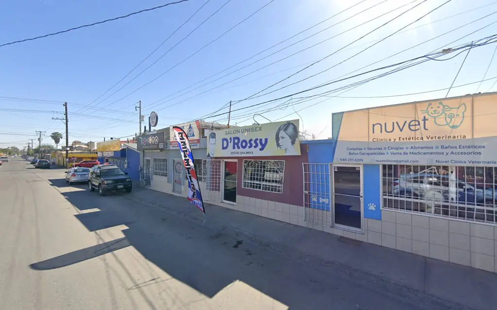 Nuvet Veterinaria