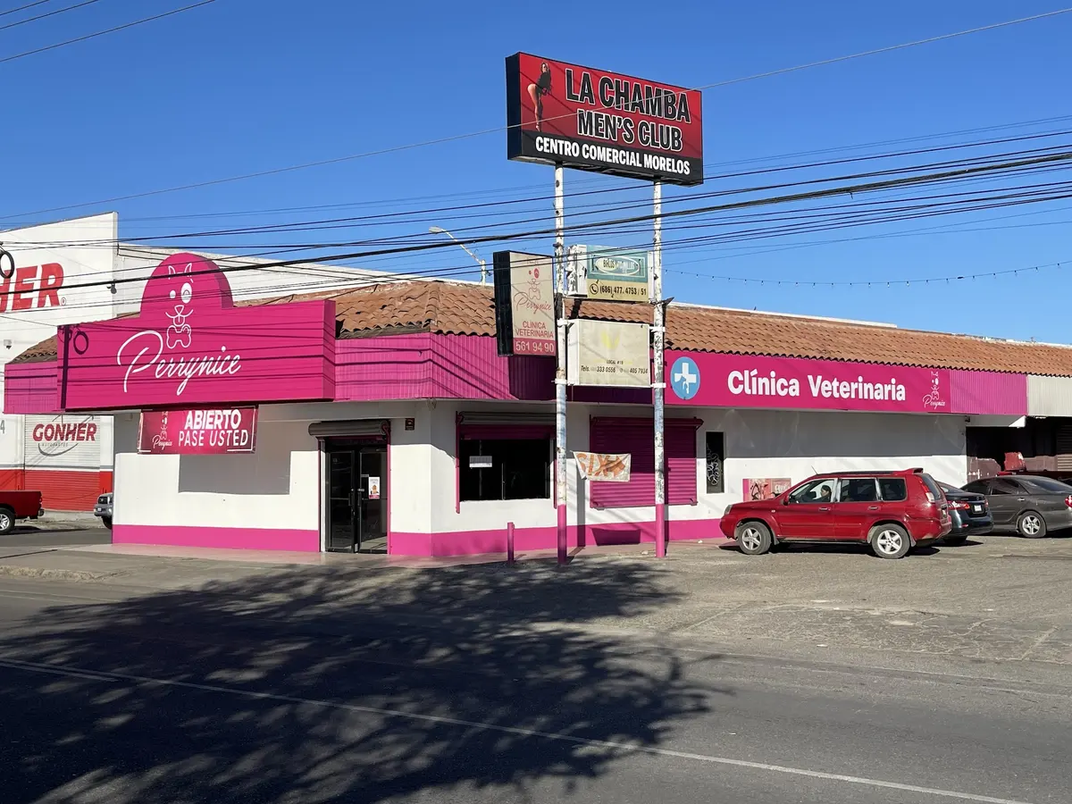 Perrynice Clinica Veterinaria — foto 2 de 3