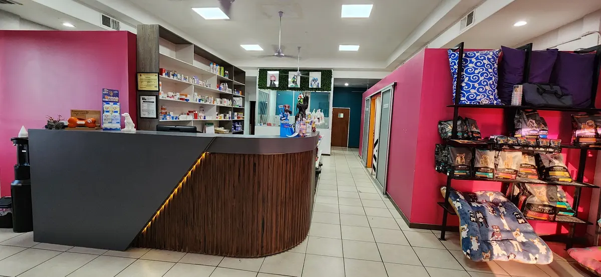Perrynice Clinica Veterinaria — foto 3 de 3