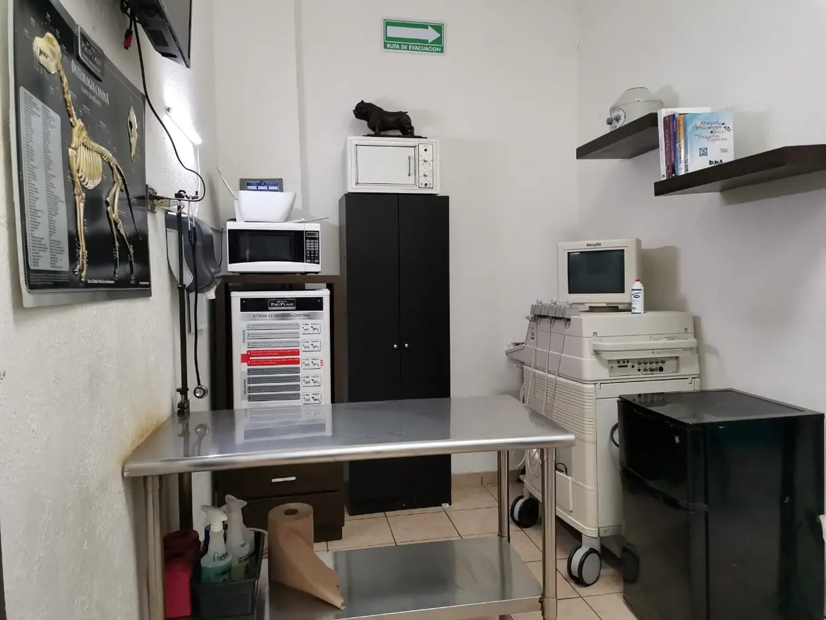 Veterinaria El Pedregal