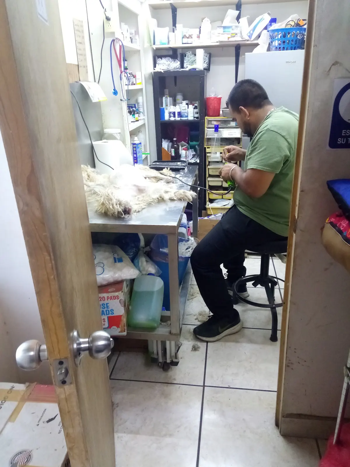 Veterinaria La Mordida — foto 3 de 3
