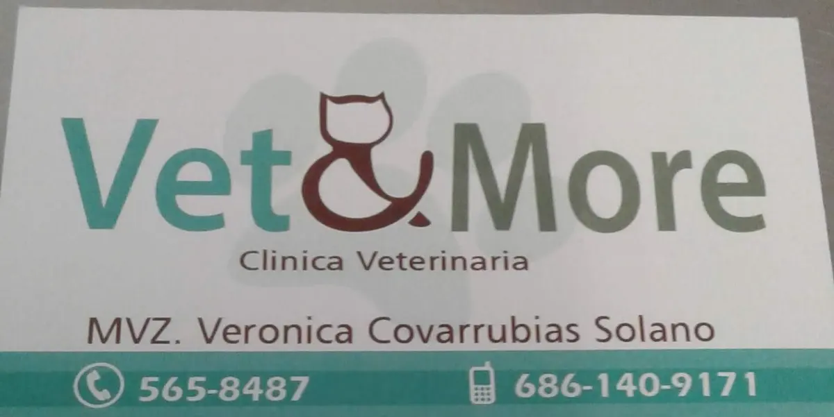 VETERINARIA Vet & More
