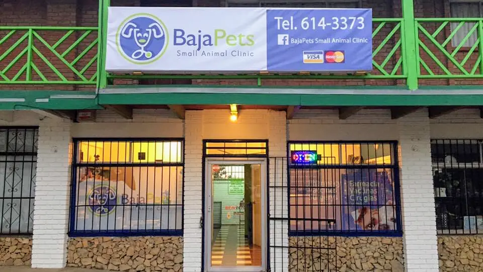 Clinica Veterinaria BajaPets Small Animal Clinic