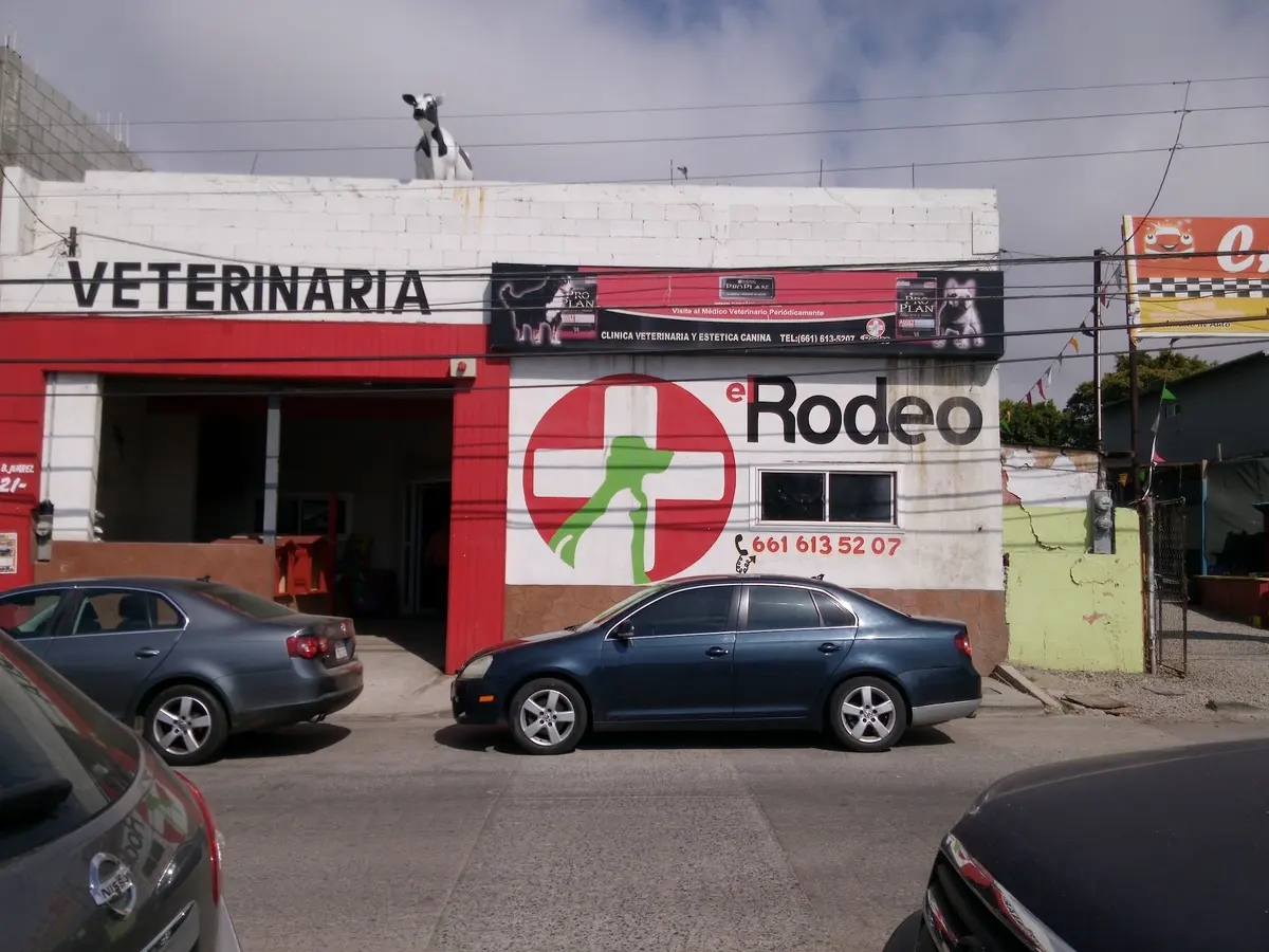 Clinica Veterinaria El Rodeo