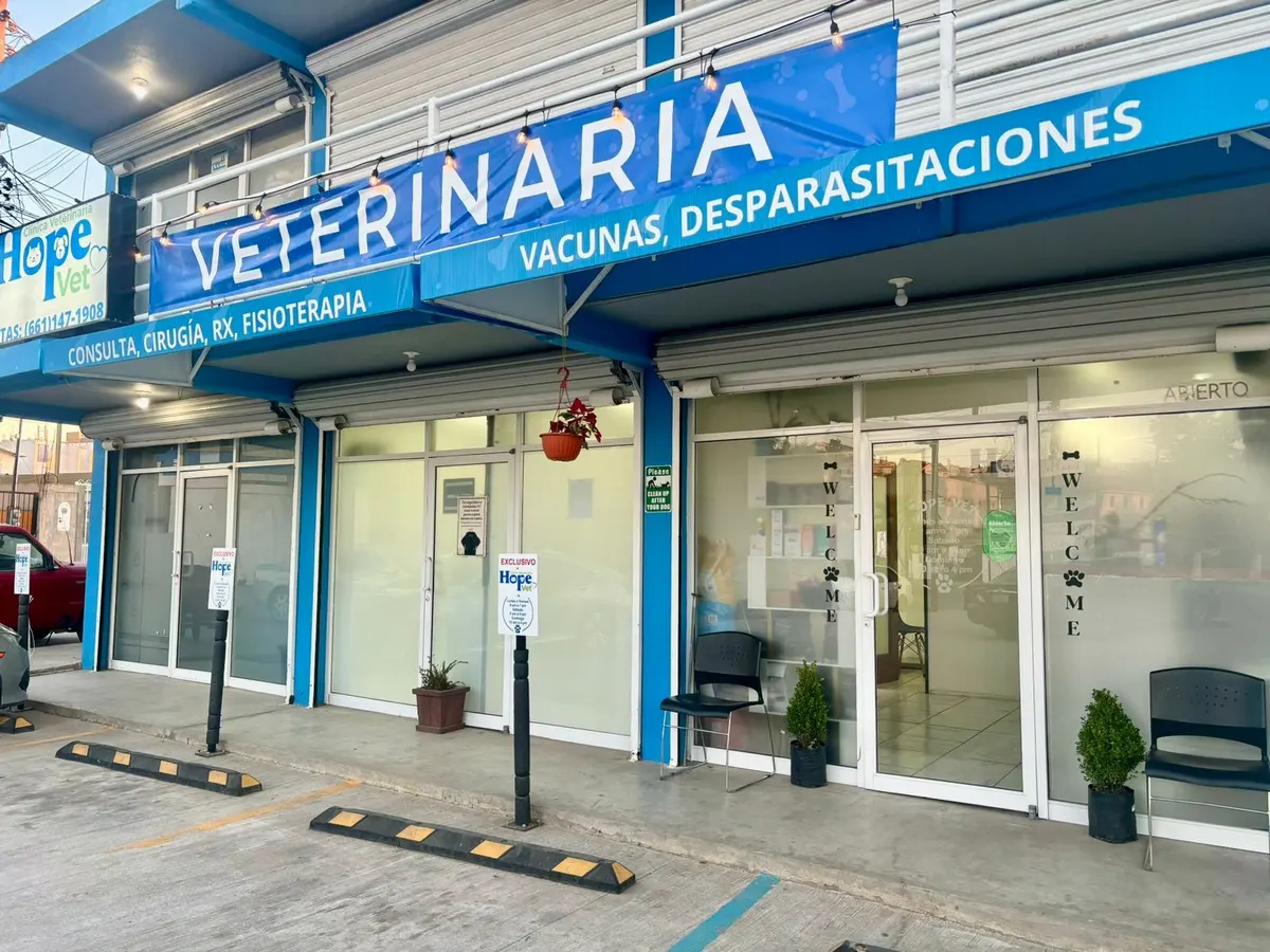 Hope Vet
