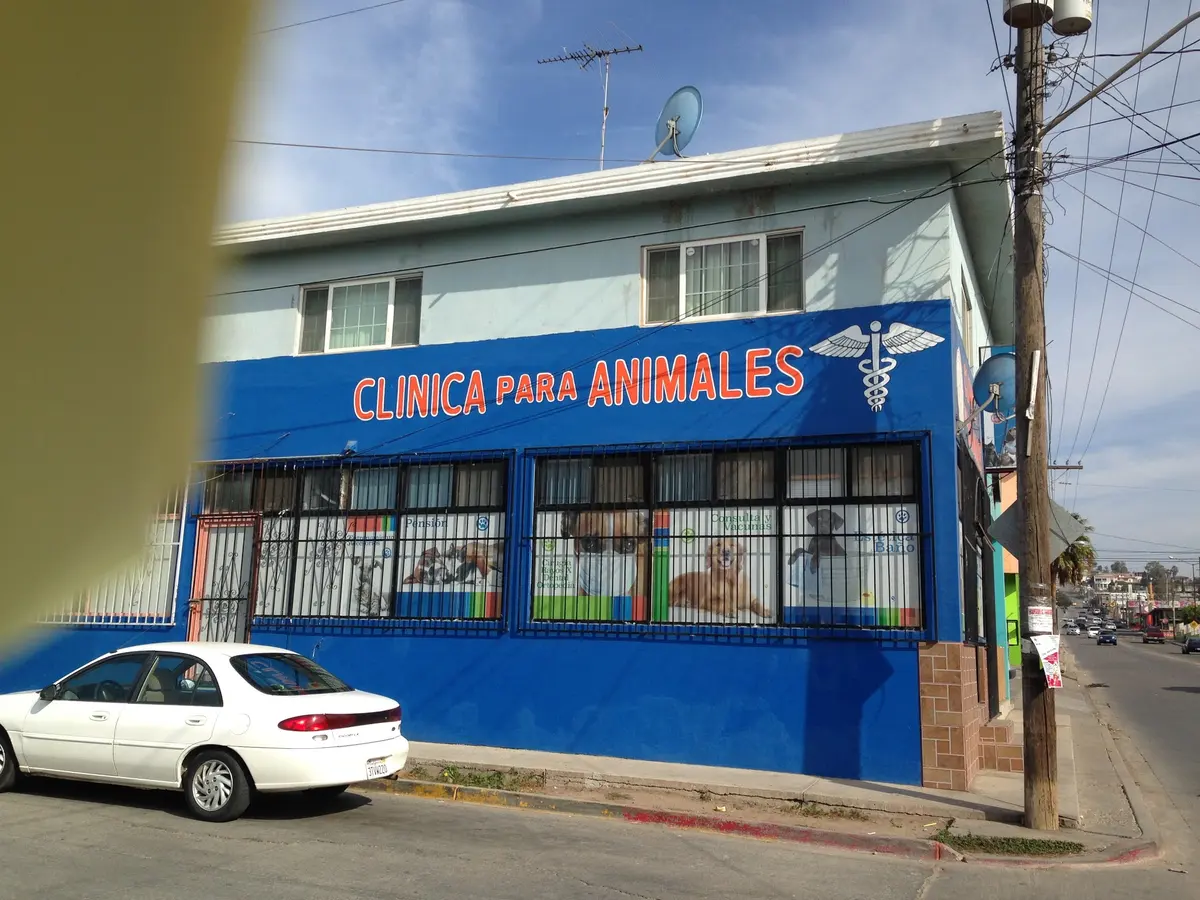 Veterinaria Fabian Flores