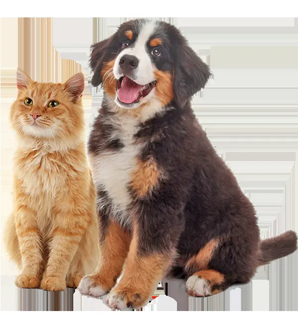 Veterinaria Pet Clinic de Playas